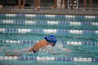 Swim vs Bentley  Wheaton College Swimming & Diving vs Bentley University. - Photo by Keith Nordstrom : Wheaton, Swimming & Diving